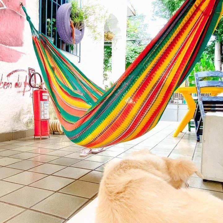 Zili Pernambuco - Hostel Pousada 헤시피 외부 사진